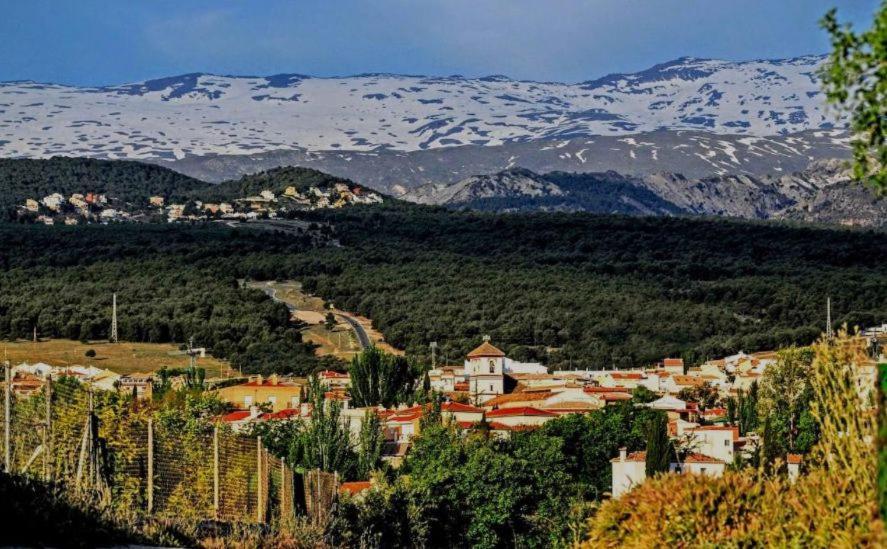 Apartamento Con Encanto En Granada, La Zubia Экстерьер фото